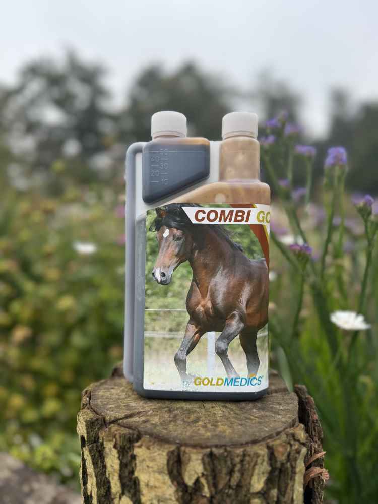 Combi Gold
