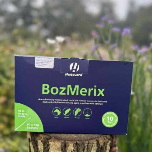 BozMerix