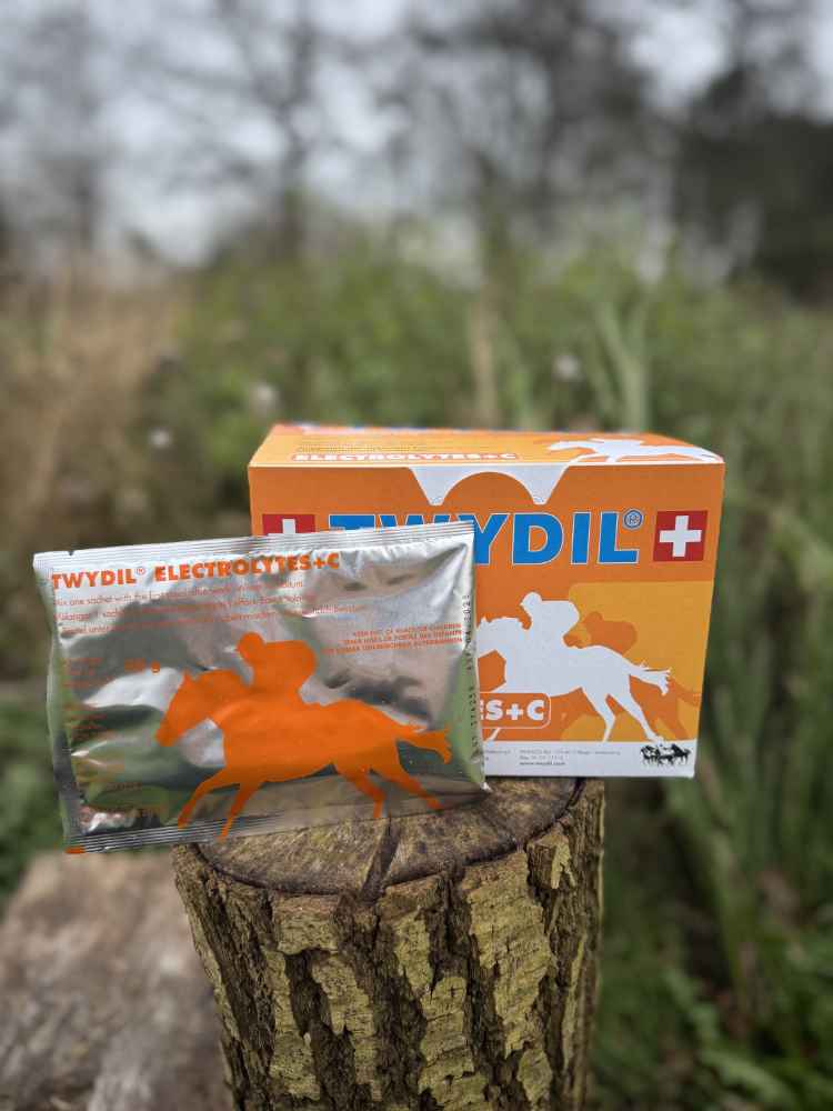 Electrolytes +C 10x50gram - Afbeelding 2