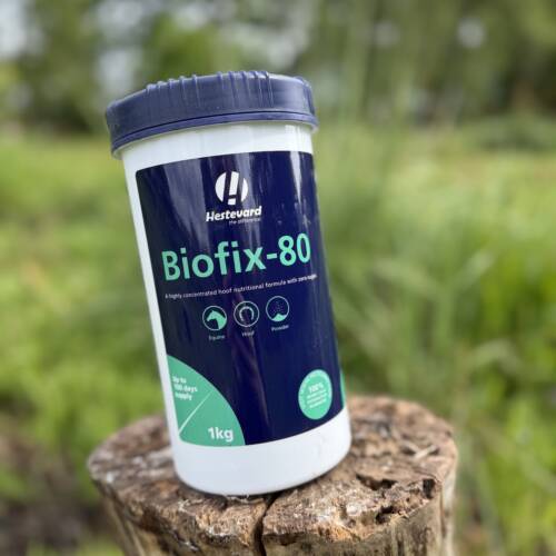 Biotex-80 (Biofix-80)