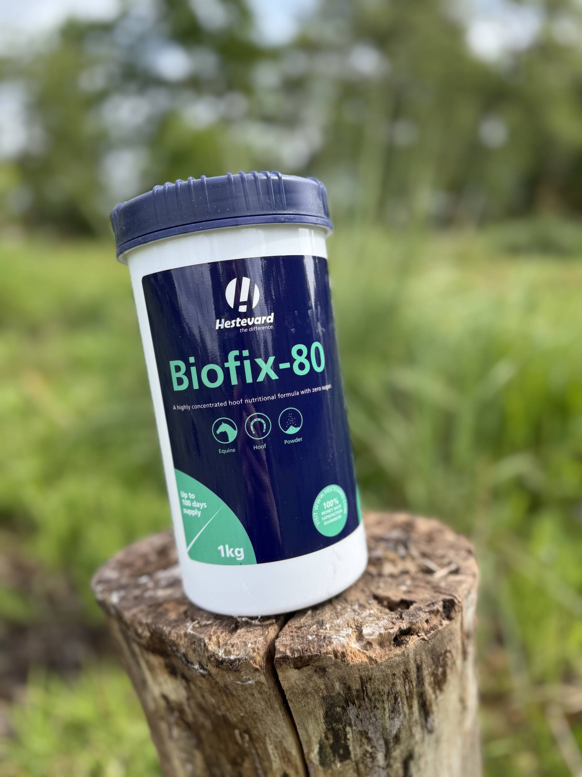 Biotex-80 (Biofix-80)
